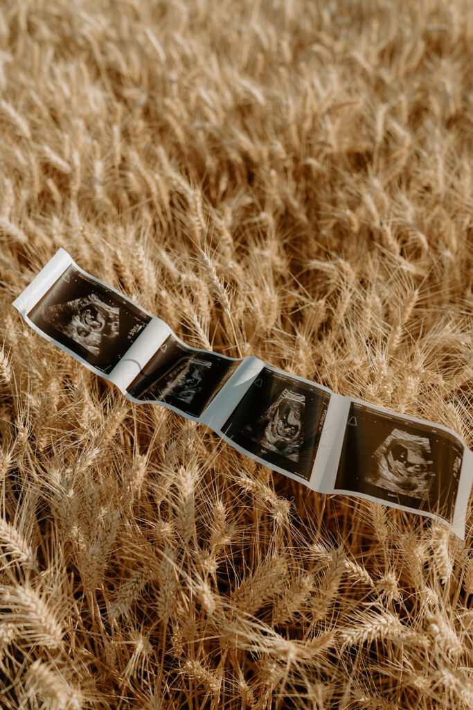 Close-up of ultrasound images laid out on the thick wheat, symbolizing the anticipation of their growing family.